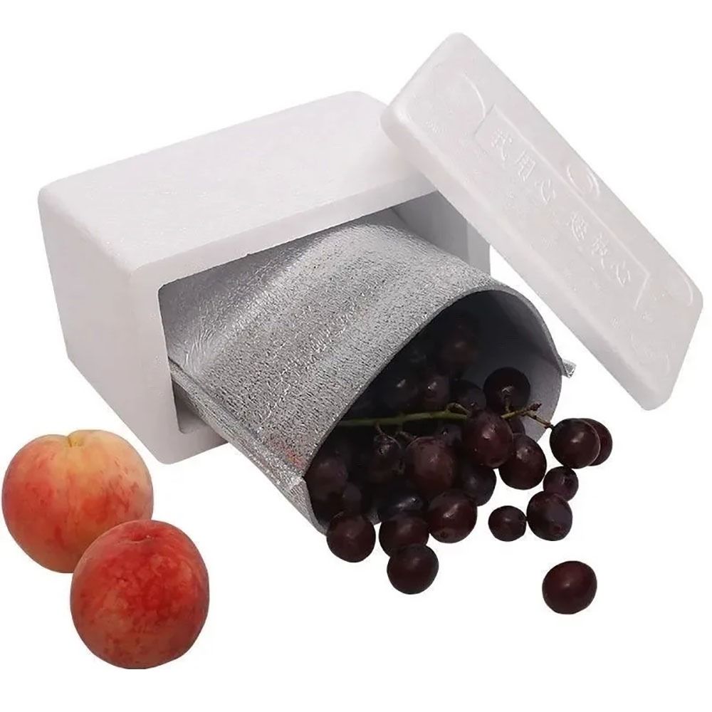 Sac isotherme portable en alum - Food Snacks Delivery avis et prix